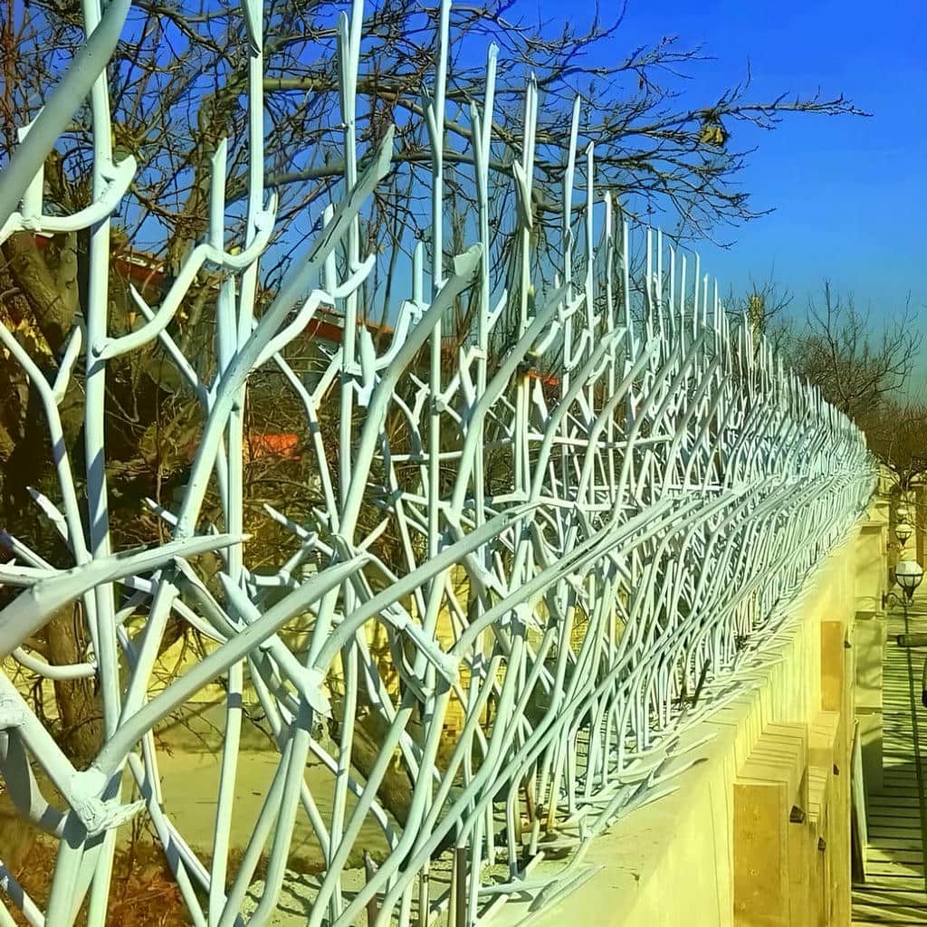 حفاظ شاخ گوزنی در تهران