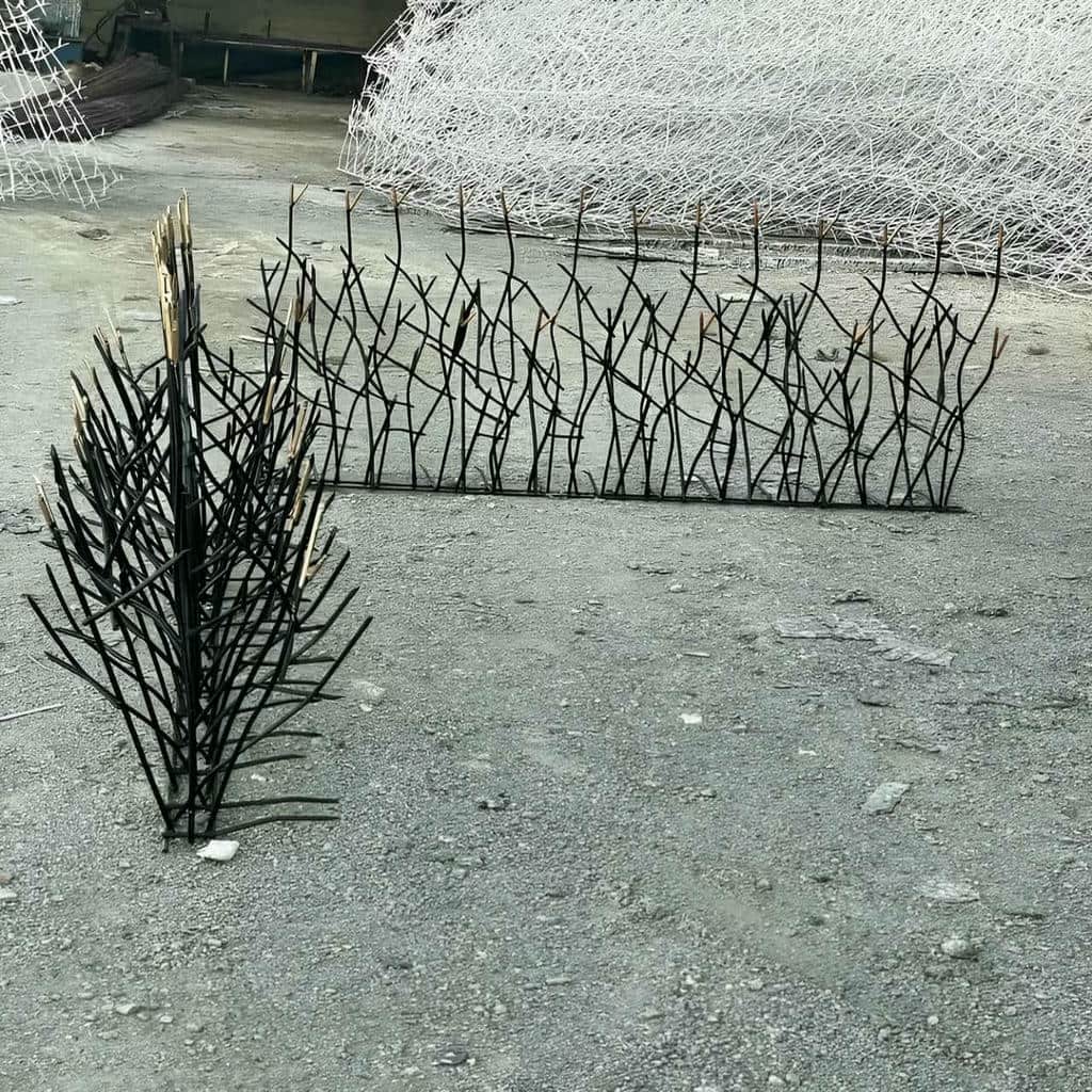 حفاظ شاخ گوزنی در فیروزکوه