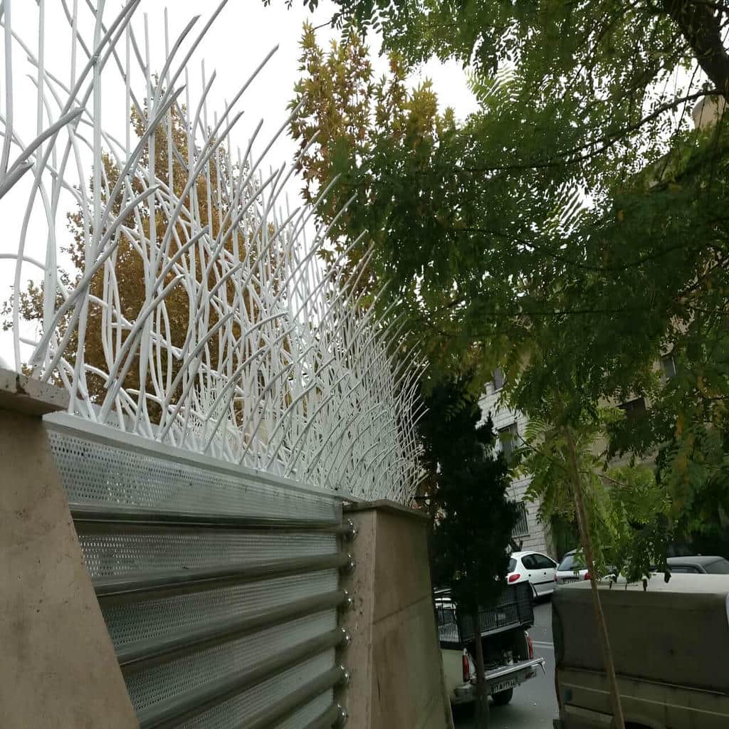 حفاظ شاخ گوزنی در لواسان