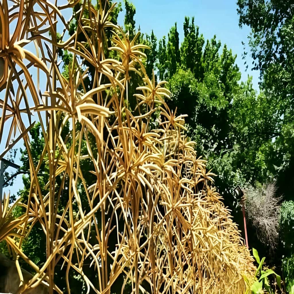 قیمت حفاظ شاخ گوزنی مسکونی در عظیمیه کرج