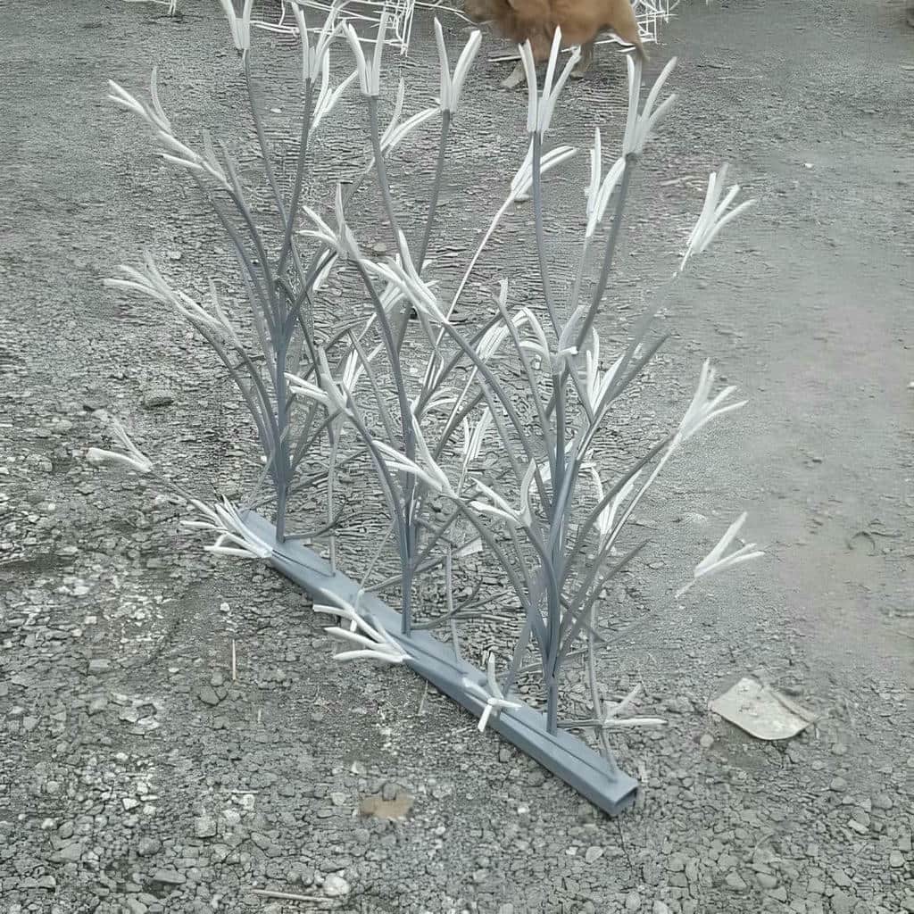 حفاظ شاخ گوزنی در اشتهارد