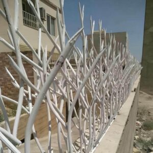 حفاظ شاخ گوزنی در بوشهر
