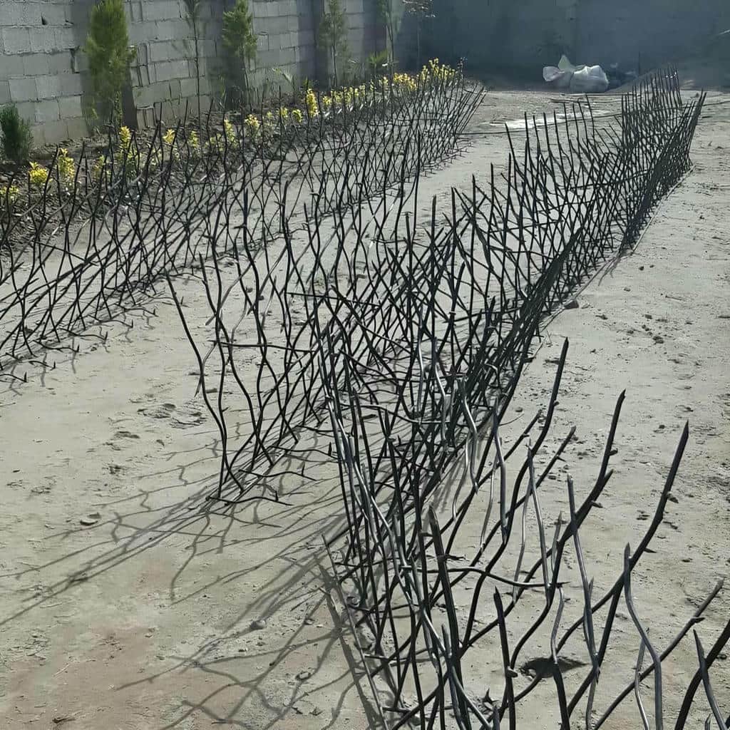 حفاظ شاخ گوزنی در آبادان