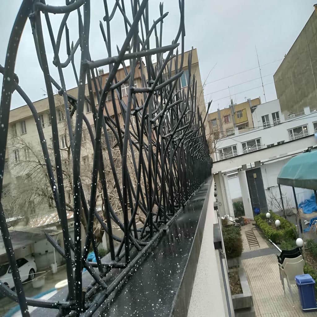 خرید حفاظ شاخ گوزنی تزئینی در ساری