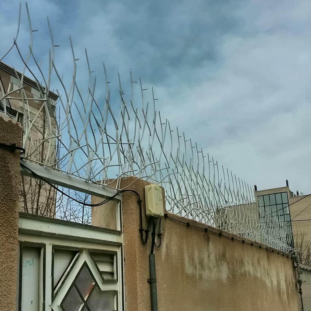 قیمت حفاظ شاخ گوزنی مسکونی در گنبدکاووس