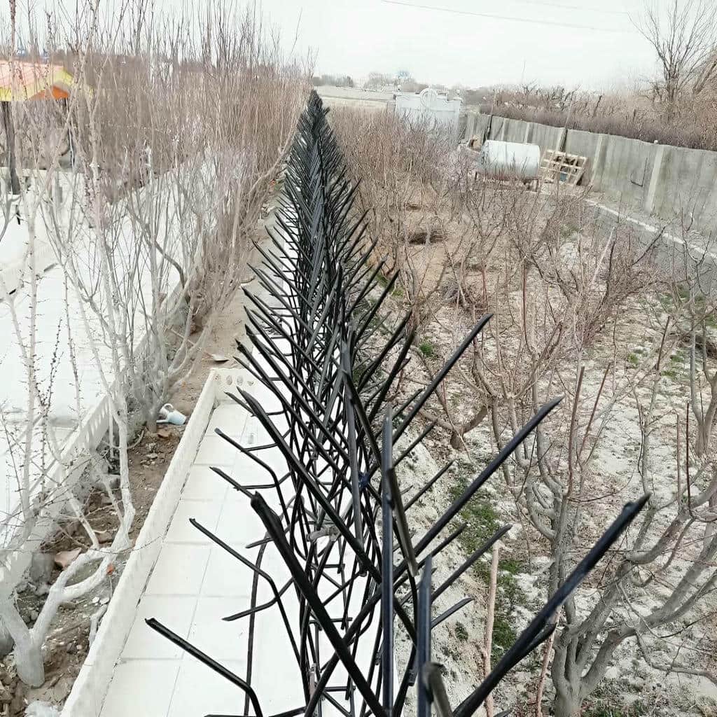 کارخانه حفاظ شاخ گوزنی تولید مستقیم در محمودآباد