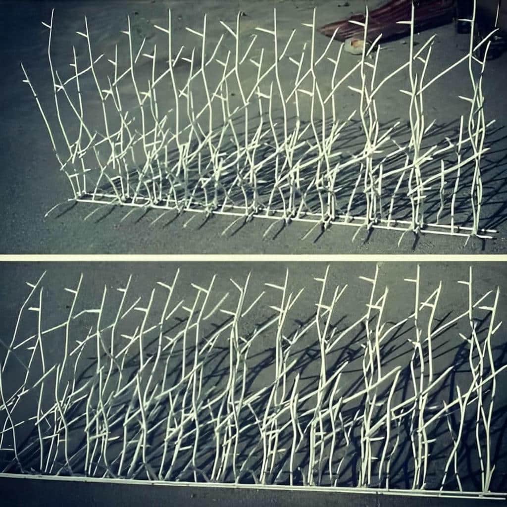 نصب حفاظ شاخ گوزنی ارتفاع 70 در بندرعباس