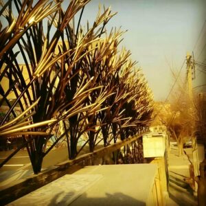 حفاظ شاخ گوزنی در رشت