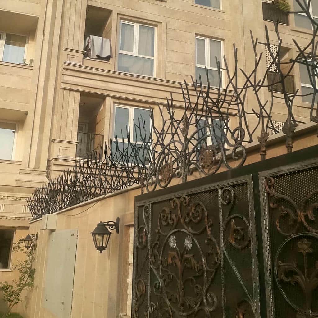 حفاظ شاخ گوزنی در ساری