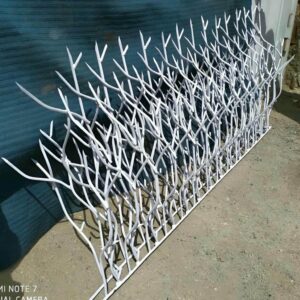 حفاظ شاخ گوزنی در مریوان