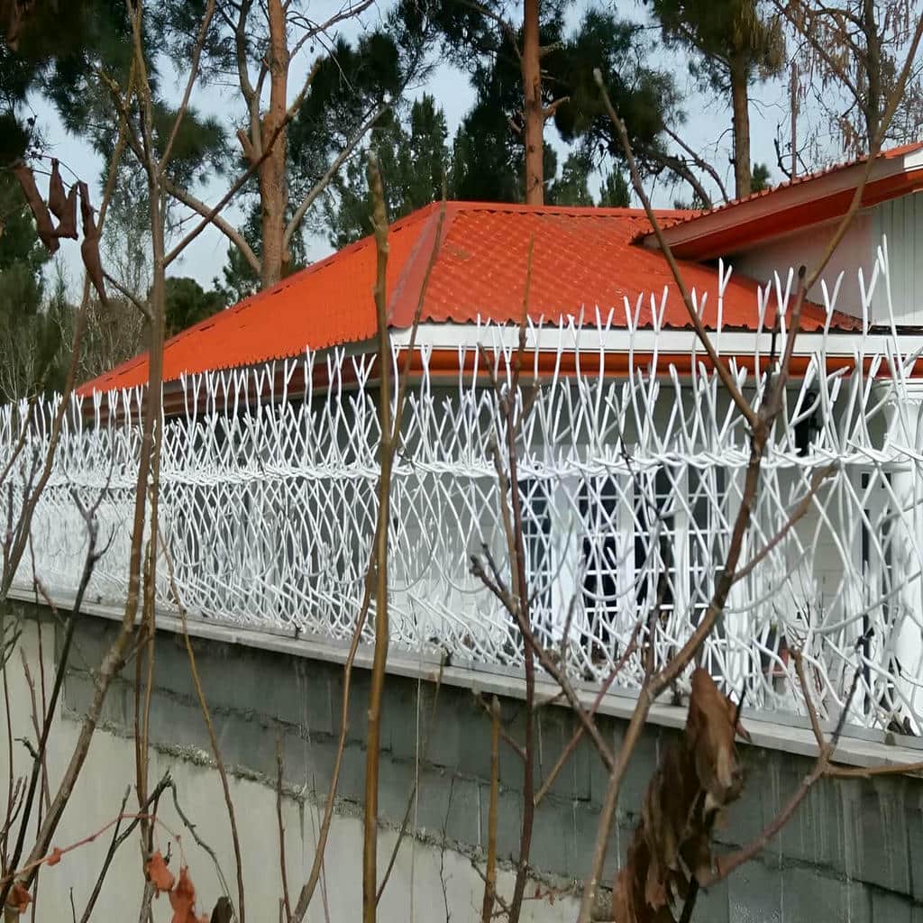 حفاظ شاخ گوزنی در اصفهان