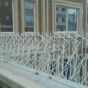 حفاظ شاخ گوزنی در عظیمیه کرج