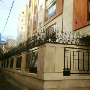 حفاظ شاخ گوزنی در تبریز