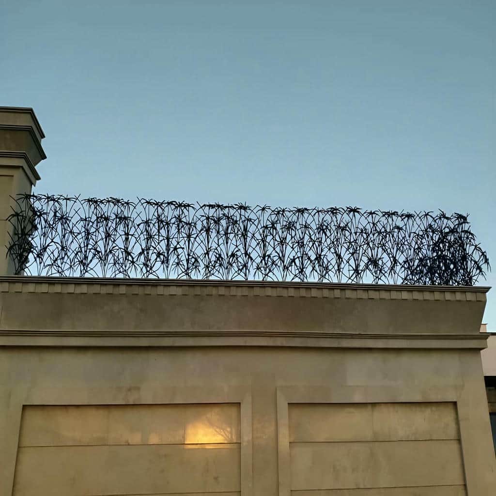 حفاظ شاخ گوزنی در طالقان