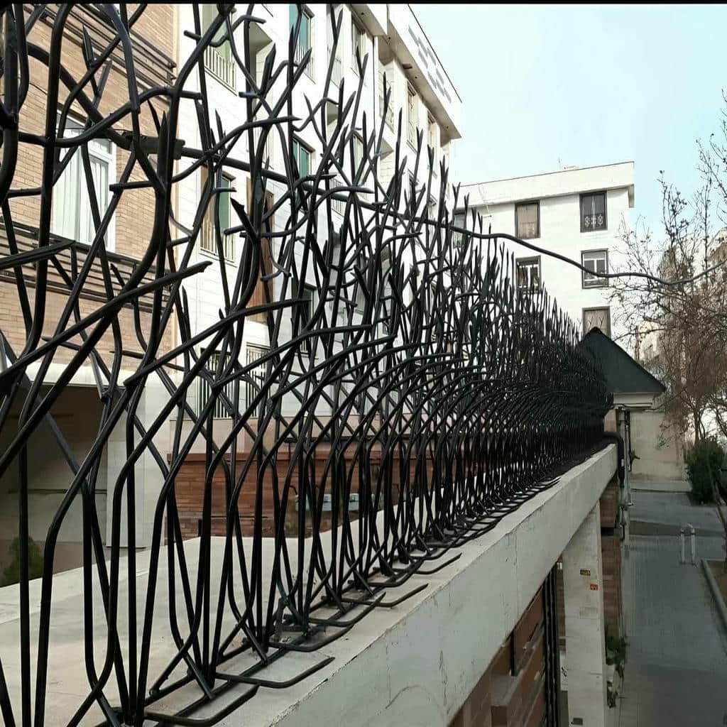 خرید حفاظ شاخ گوزنی دیوار ساختمان در بومهن