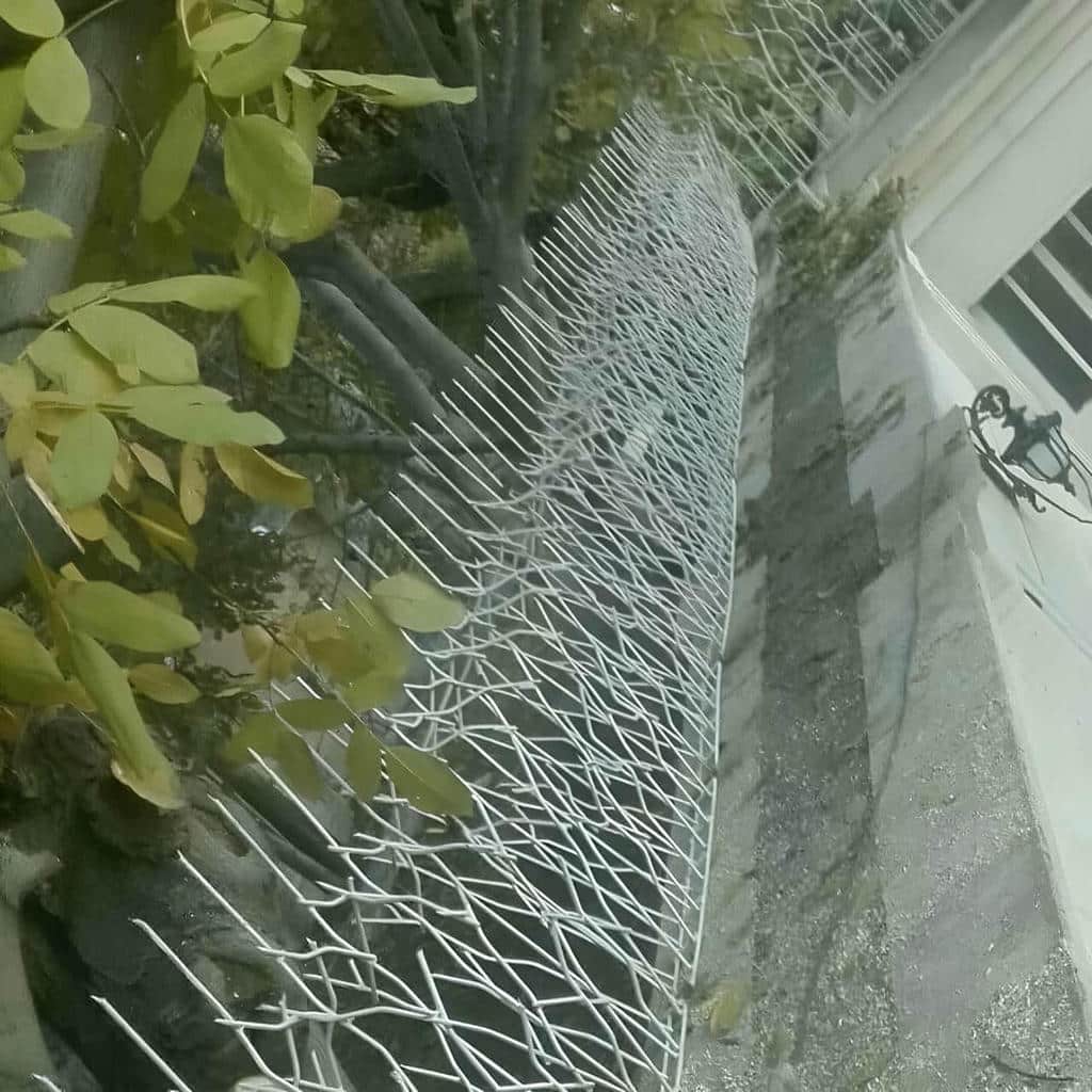 خرید حفاظ شاخ گوزنی بازدارنده در بندر لنگه