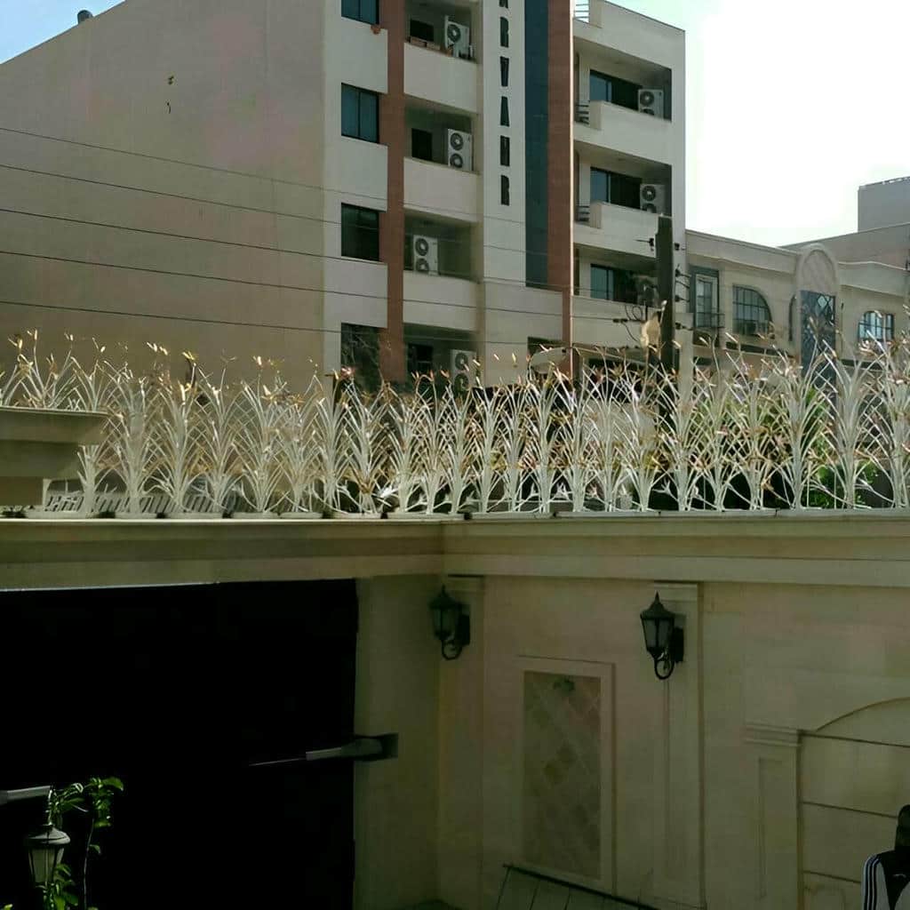فروش حفاظ شاخ گوزنی تزئینی در اصفهان