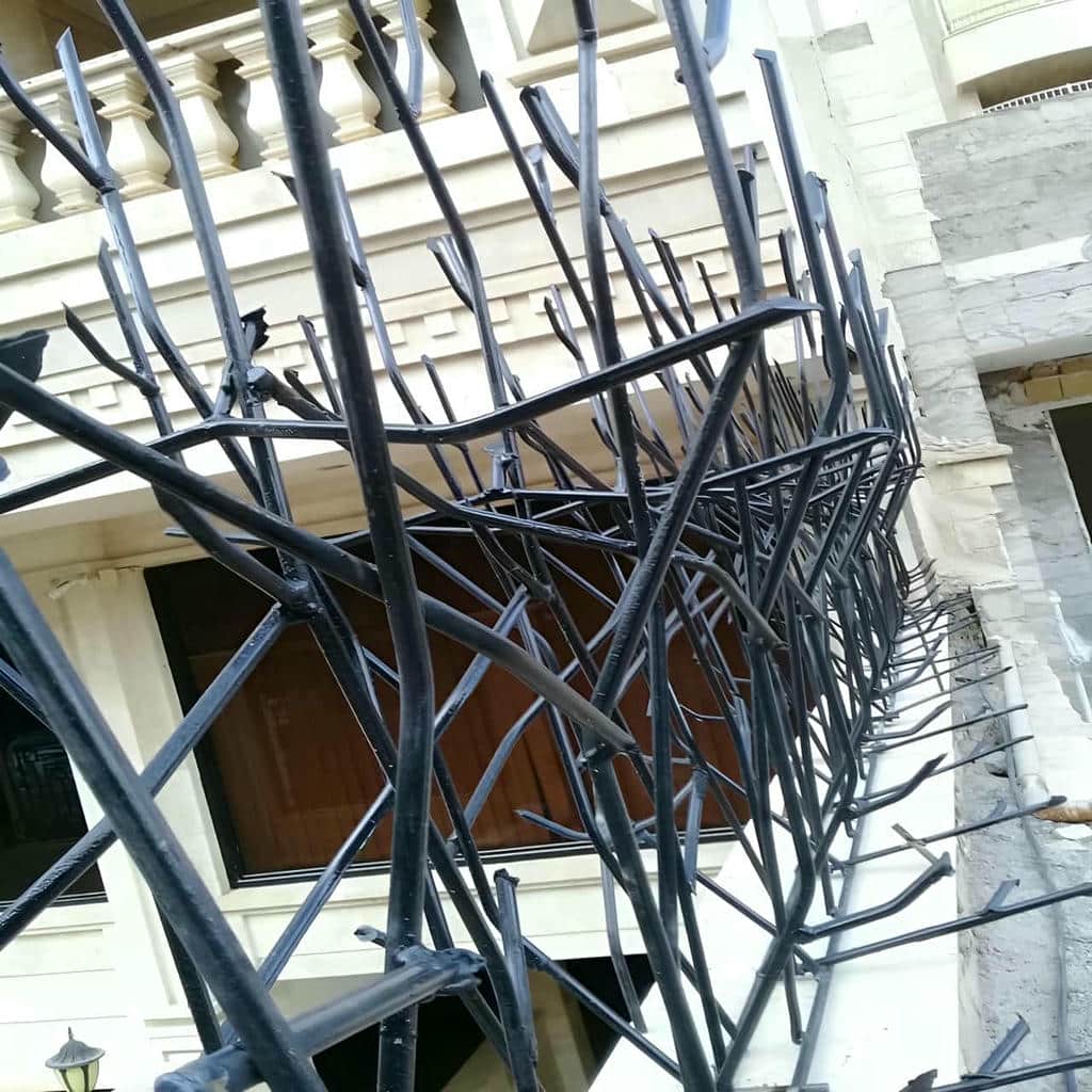 حفاظ شاخ گوزنی در سیرجان