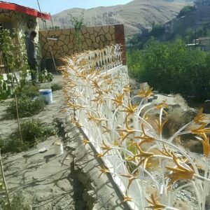 حفاظ شاخ گوزنی در خرم آباد