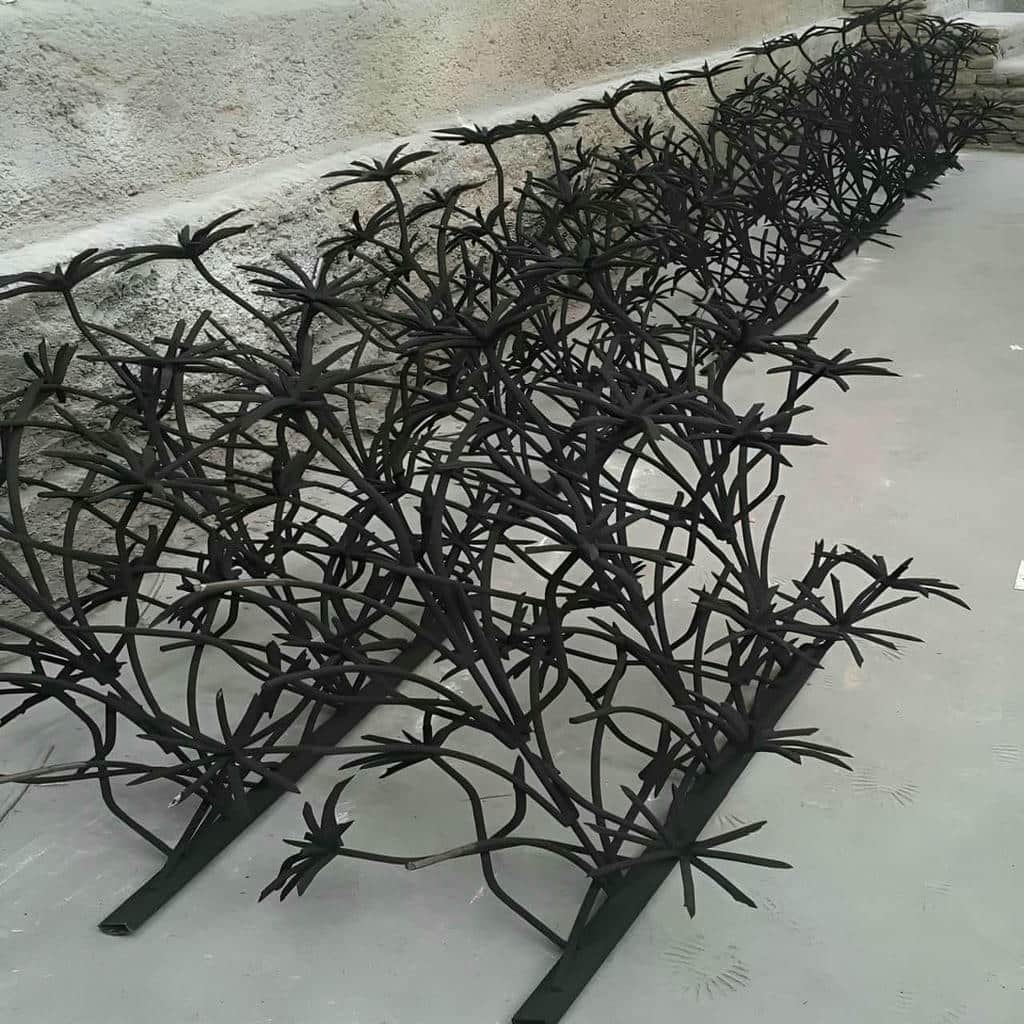 حفاظ شاخ گوزنی در شیراز