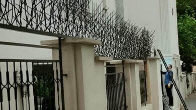 حفاظ شاخ گوزنی در پردیس
