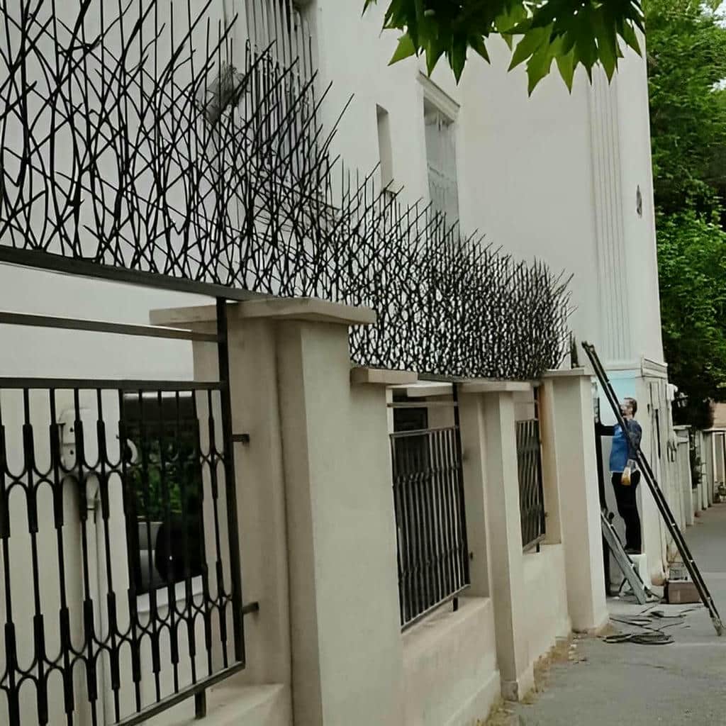 حفاظ شاخ گوزنی در پردیس