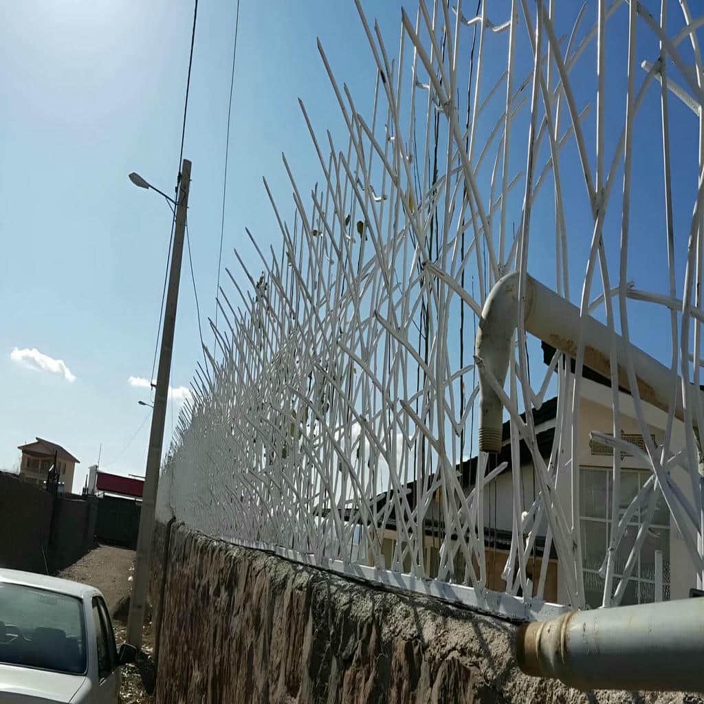 قیمت حفاظ شاخ گوزنی زیبا در اندیشه