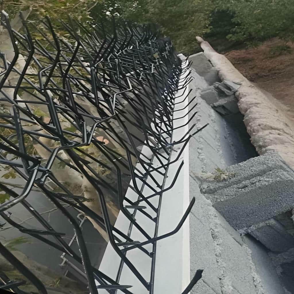 خرید حفاظ شاخ گوزنی ارتفاع 70 در ایرانشهر