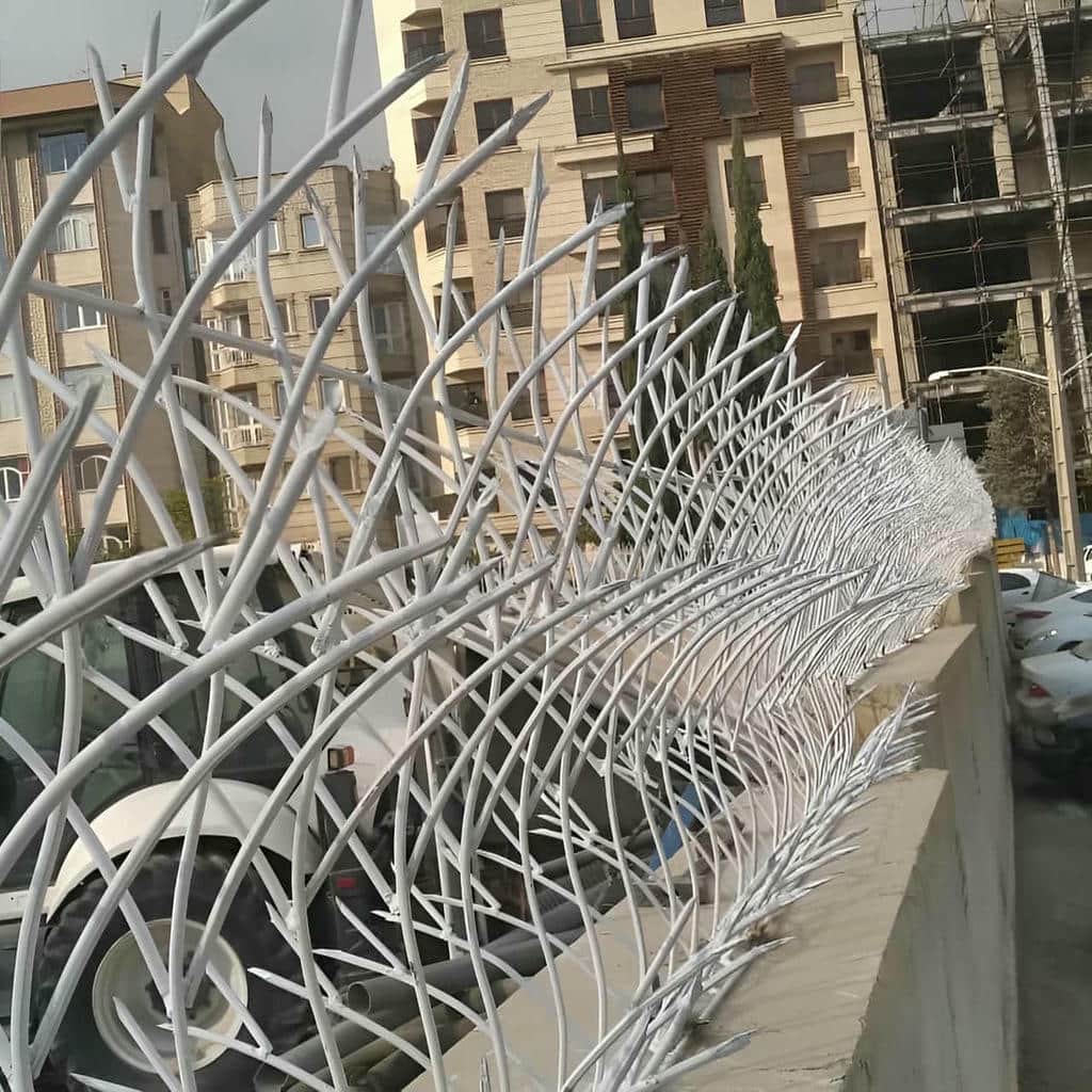 نصب حفاظ شاخ گوزنی دیواری در اندیشه