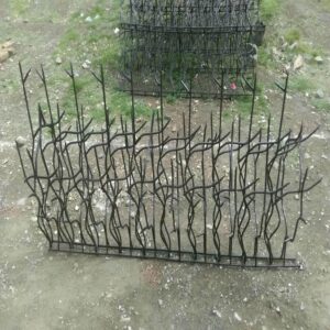حفاظ شاخ گوزنی در دماوند