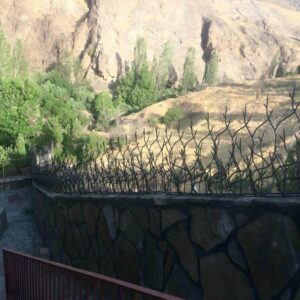 حفاظ شاخ گوزنی در سمنان