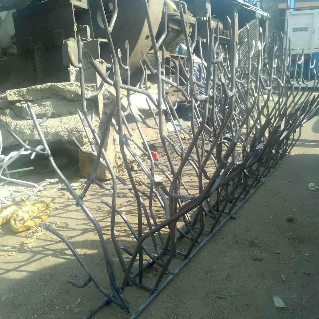 حفاظ شاخ گوزنی در اردبیل