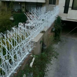 حفاظ شاخ گوزنی در رامسر