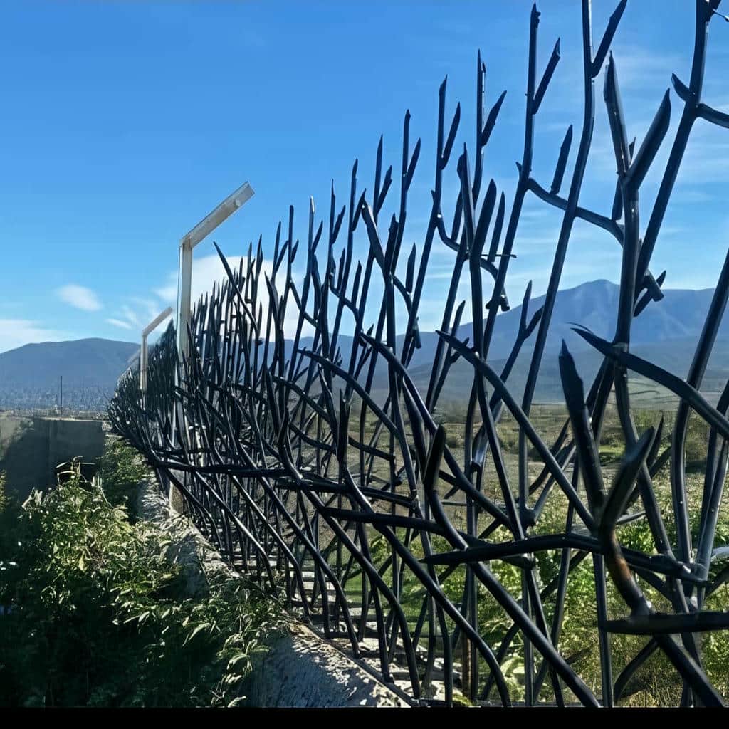 خرید حفاظ شاخ گوزنی بازدارنده در آبادان