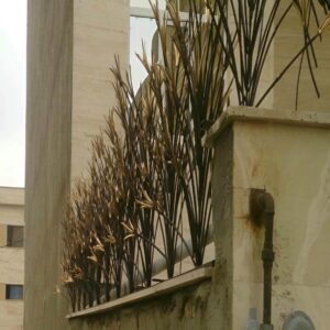 حفاظ شاخ گوزنی در اندیشه