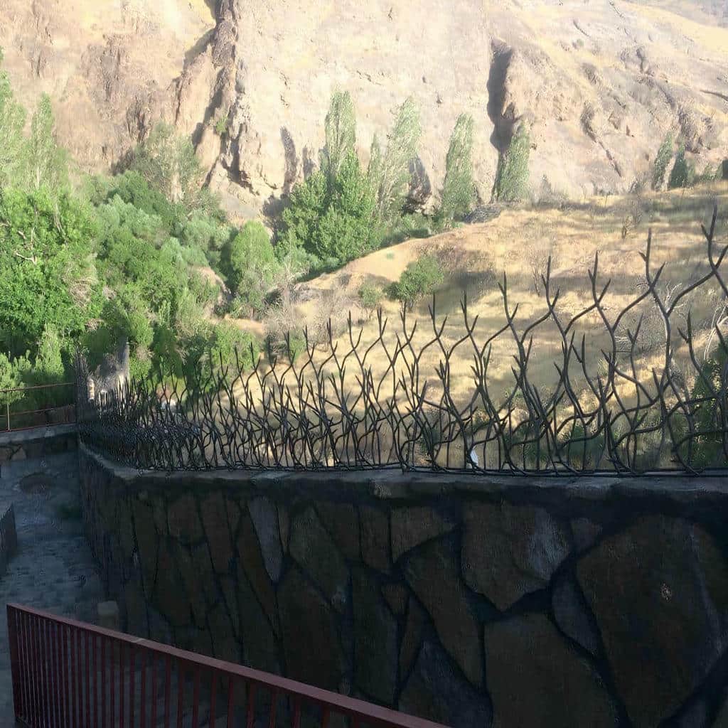 حفاظ شاخ گوزنی روی دیوار ساختمان