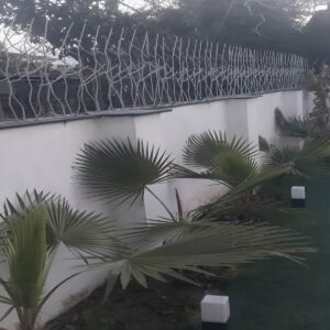 قیمت متری نرده آهنی و حفاظ روی دیوار