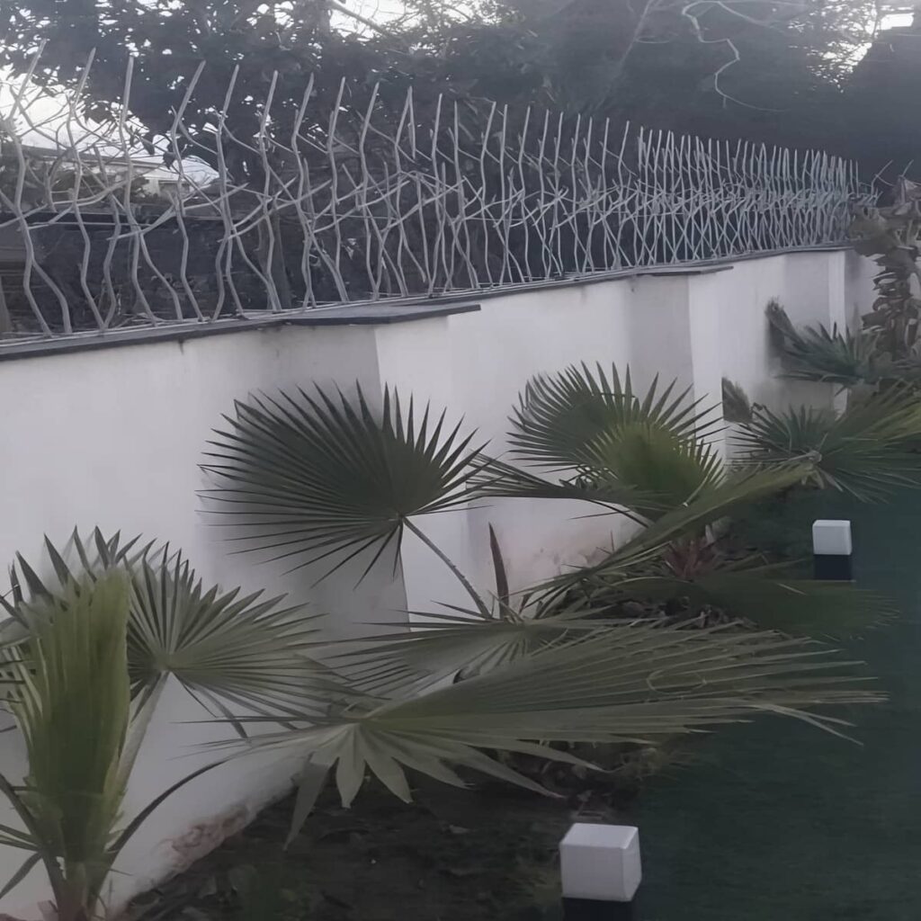 حفاظ شاخ گوزنی روی دیوار پلکانی با نصب دقیق