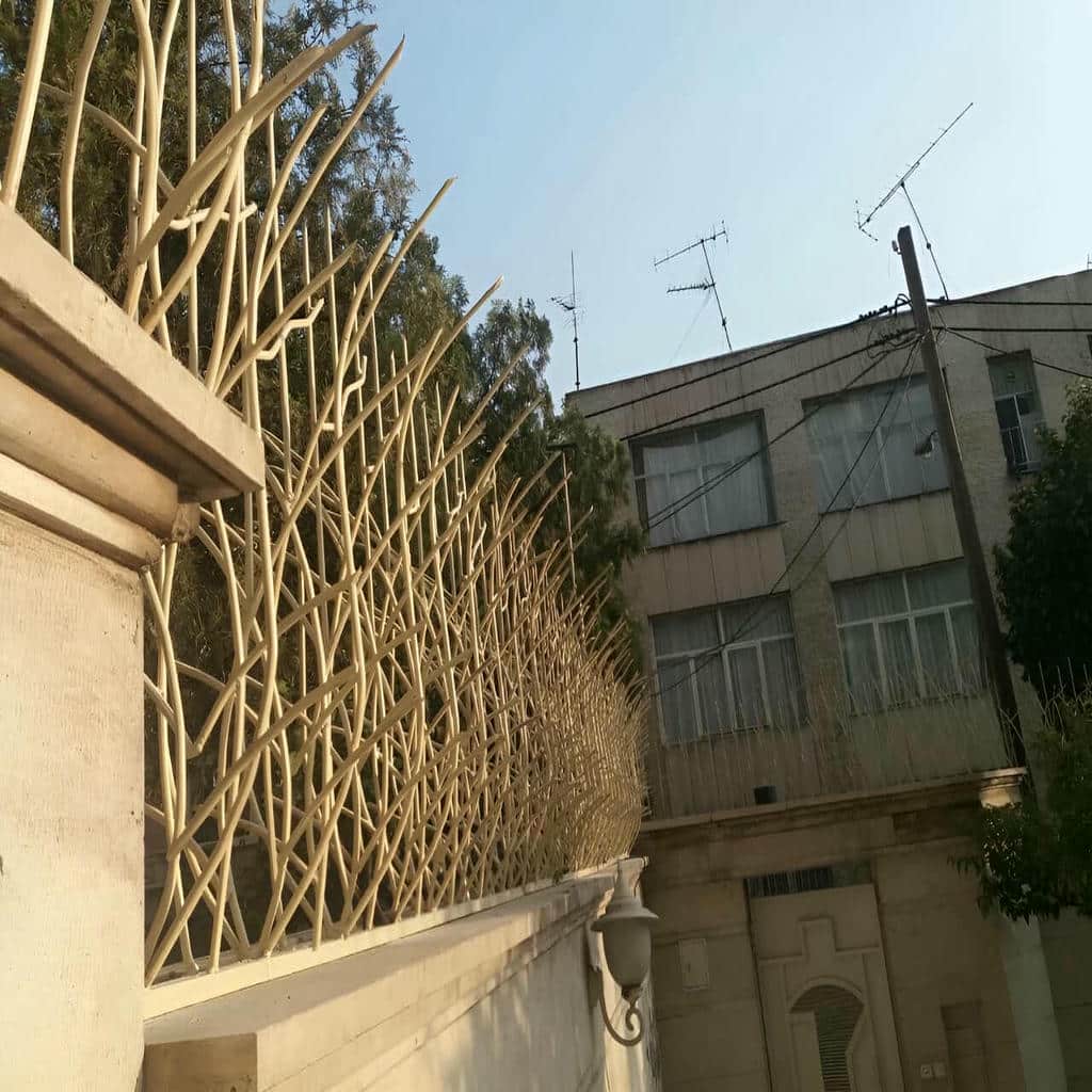 حفاظ شاخ گوزنی با نمونه رنگ مشکی مات