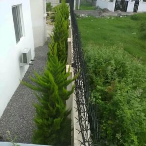 حفاظ شاخ گوزنی و سرنیزه ای دیوار آهنی