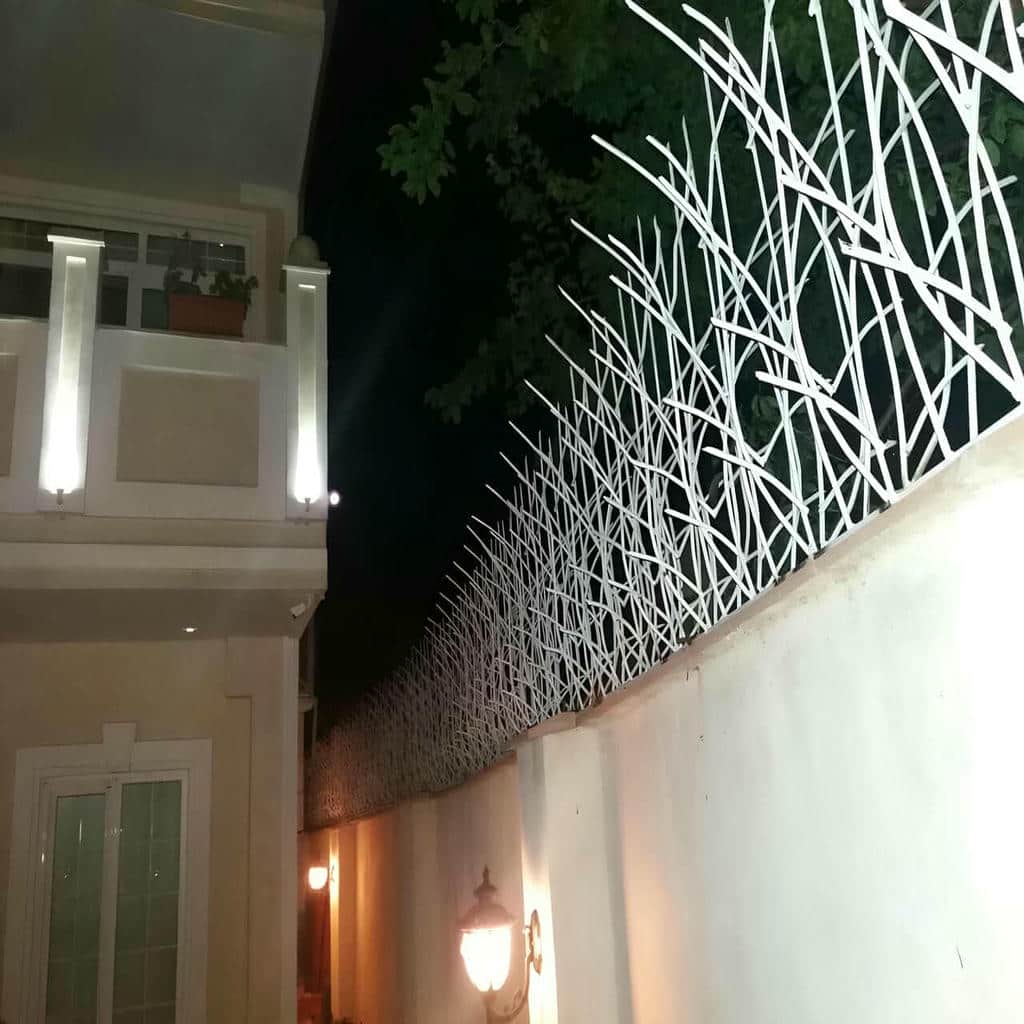 حفاظ شاخ گوزنی نصب شده روی لبه دیوار