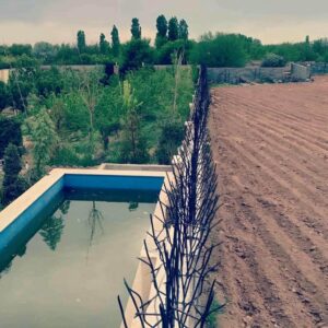 استعلام قیمت دقیق حفاظ شاخ گوزنی