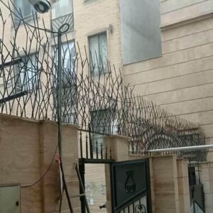 موارد کاربرد حفاظ شاخ گوزنی روی دیوار