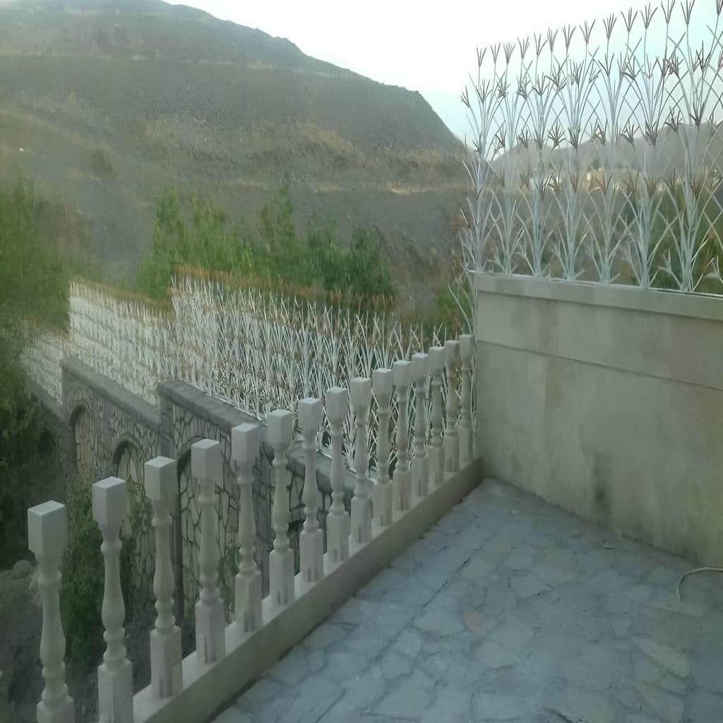 نرده دیوار با برش دقیق سرشاخه ها