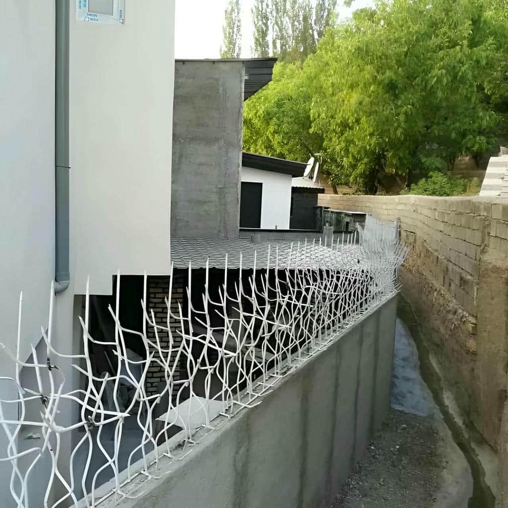 حفاظ شاخ گوزنی روی دیوار با جوشکاری محکم پایه ها