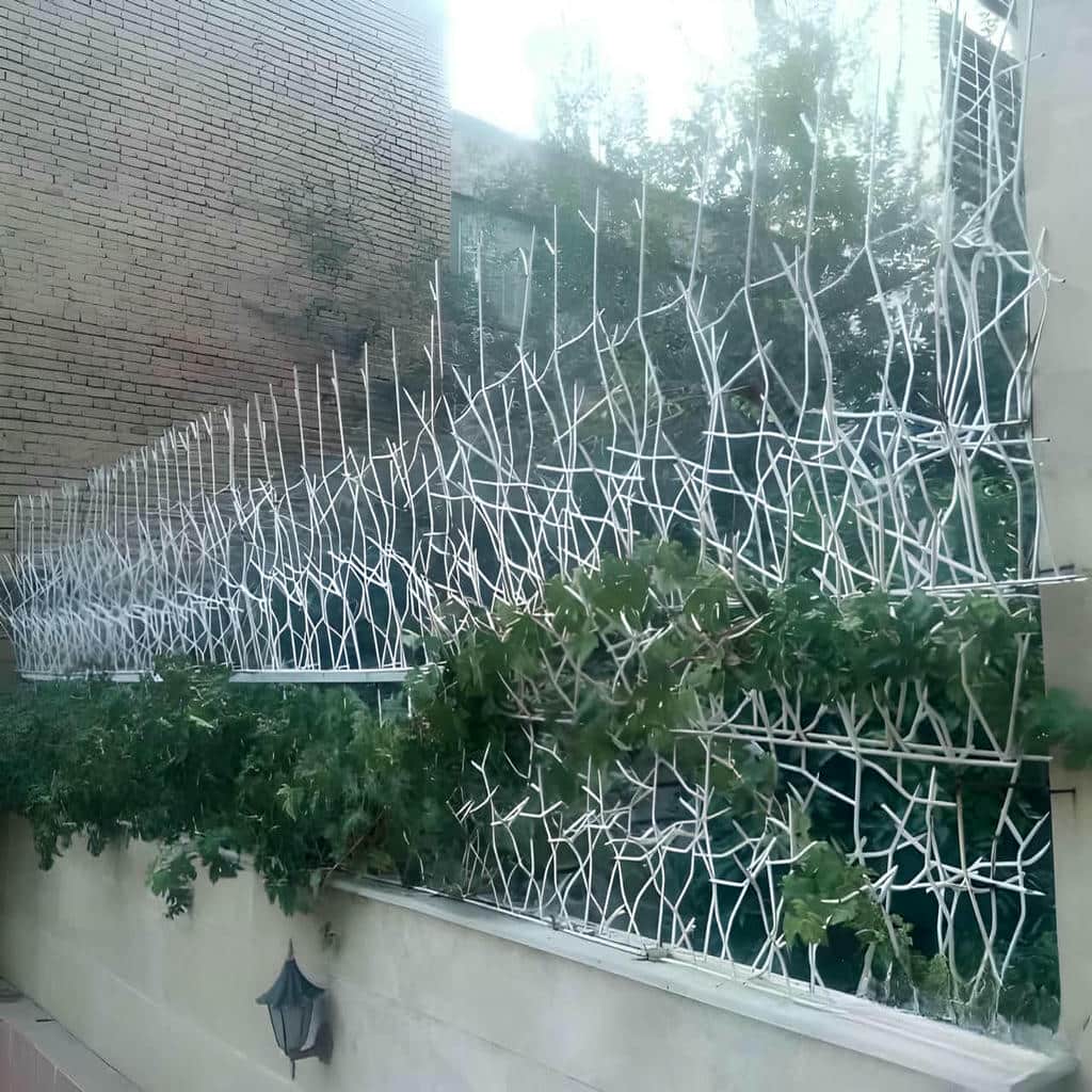 حفاظ شاخ گوزنی نصب شده روی دیوار محوطه