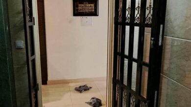 حفاظ درب آپارتمان با قفل ایمن فلزی