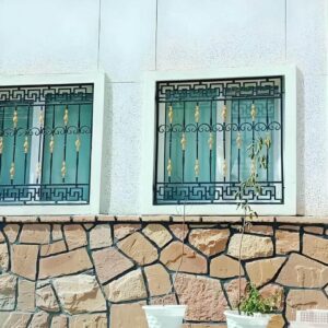 خدمات نصب حفاظ پنجره پشت ساختمان