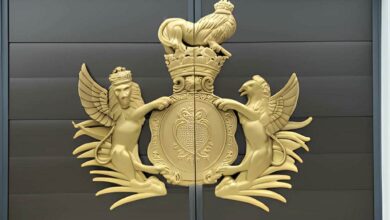 درب حیاط در استان خراسان جنوبی با مدل فلزی سفارشی