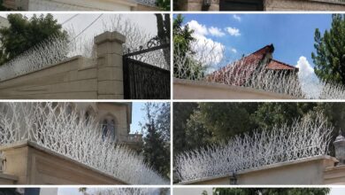 حفاظ دیوار در زنجان با مدل شاخ گوزنی برای سفارش اینترنتی